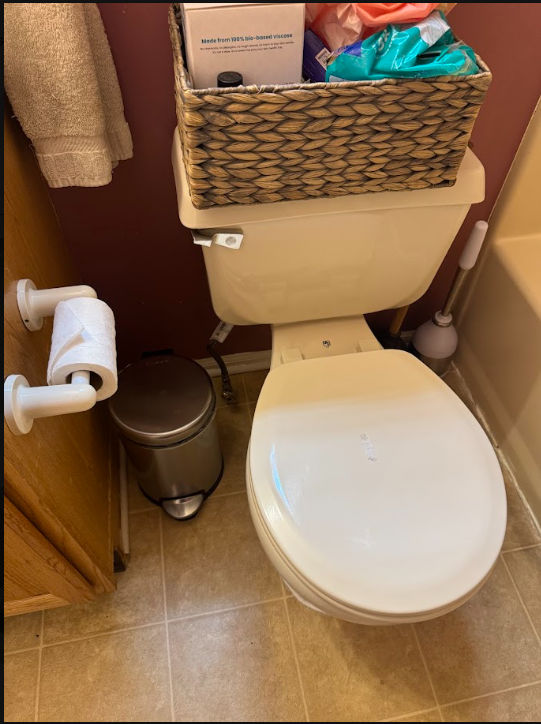 Bathroom before cleaning — toilet area