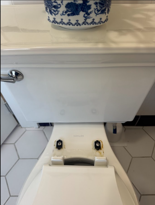 Toilet — base with accumulated dirt